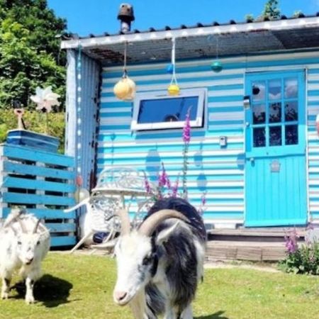 Treguth Glamping Unique Experience - Themed Huts Hotell Saint Day Exteriör bild