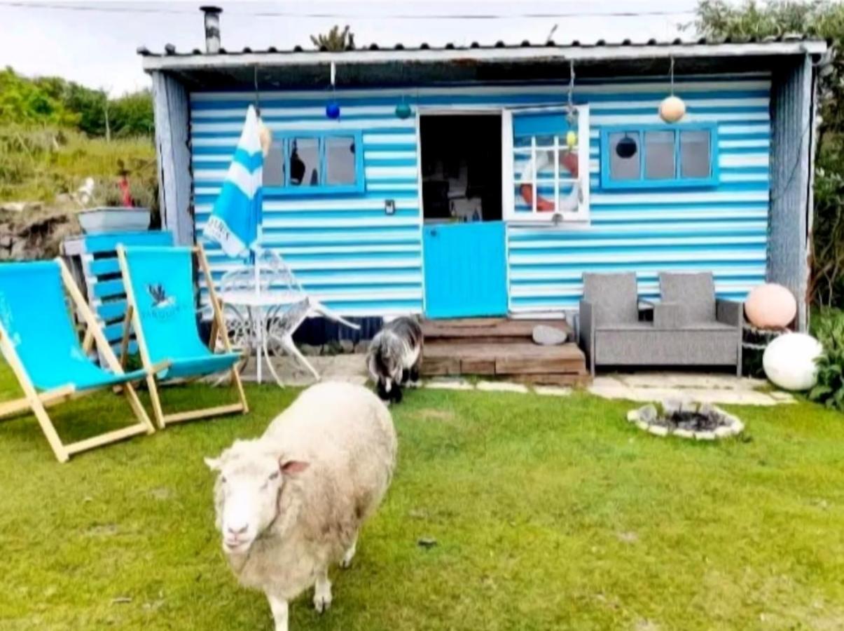 Treguth Glamping Unique Experience - Themed Huts Hotell Saint Day Exteriör bild