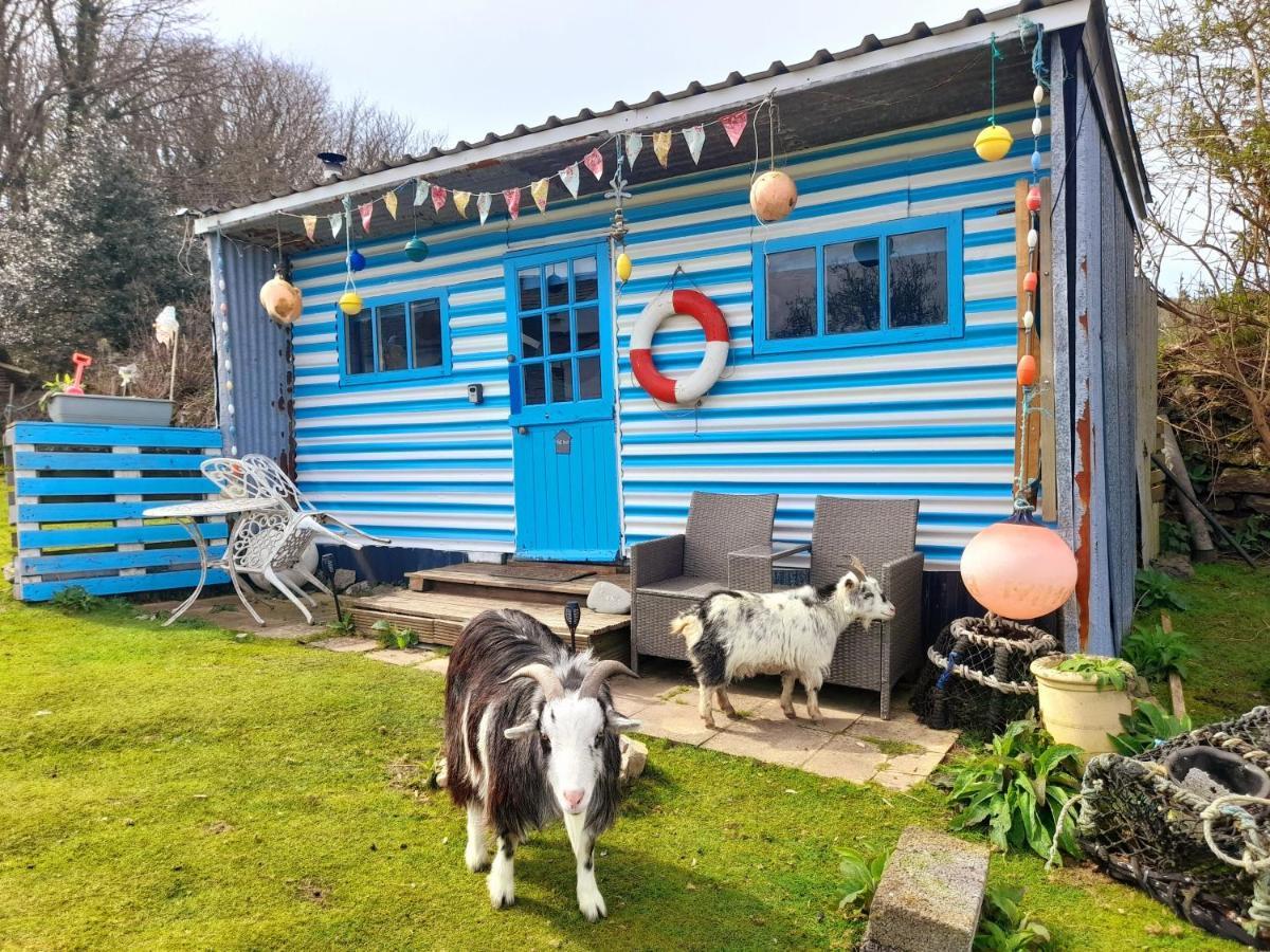 Treguth Glamping Unique Experience - Themed Huts Hotell Saint Day Exteriör bild