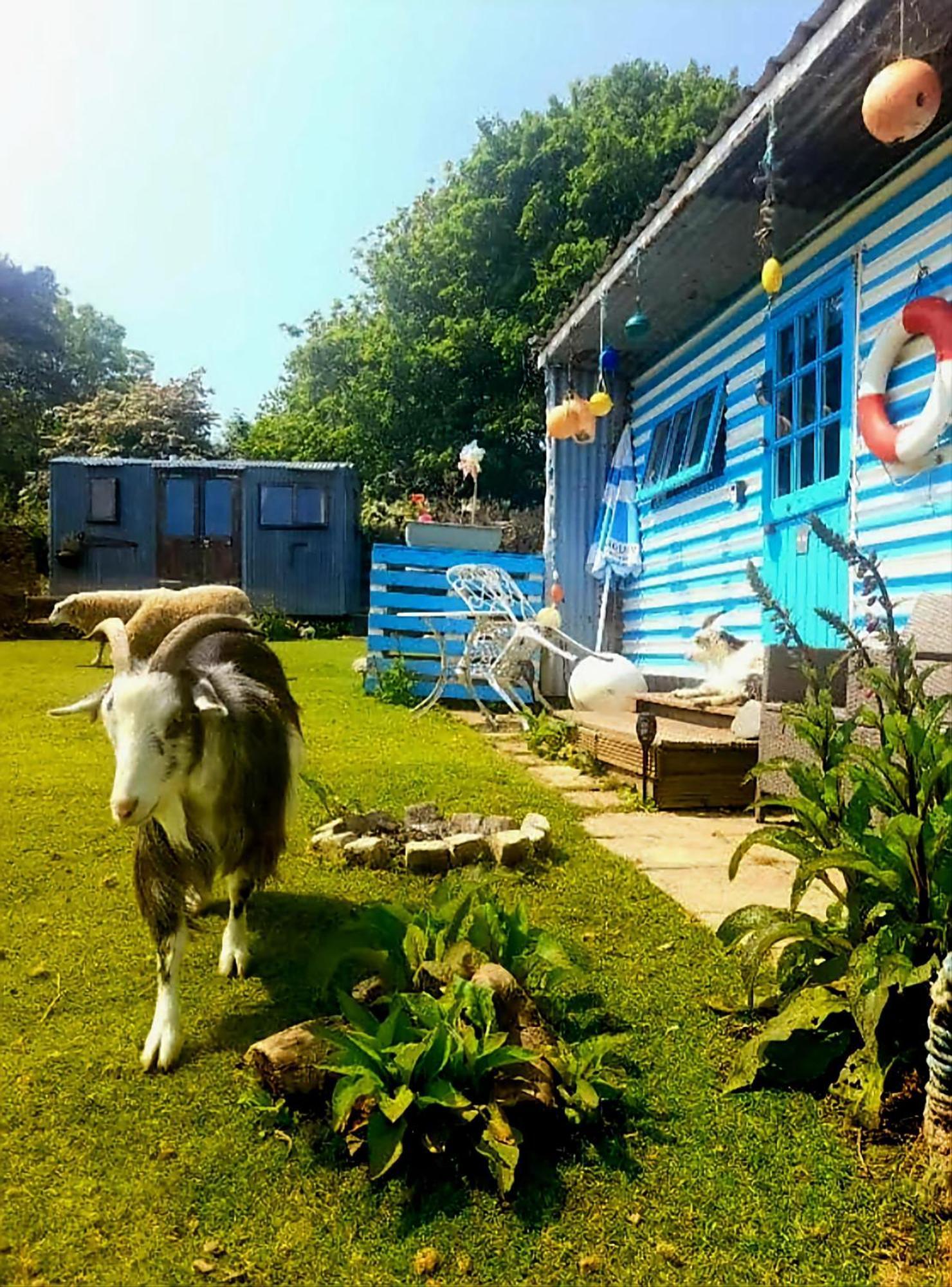 Treguth Glamping Unique Experience - Themed Huts Hotell Saint Day Exteriör bild