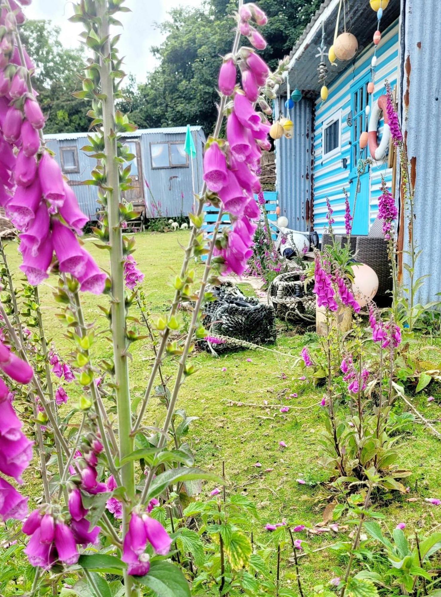 Treguth Glamping Unique Experience - Themed Huts Hotell Saint Day Exteriör bild