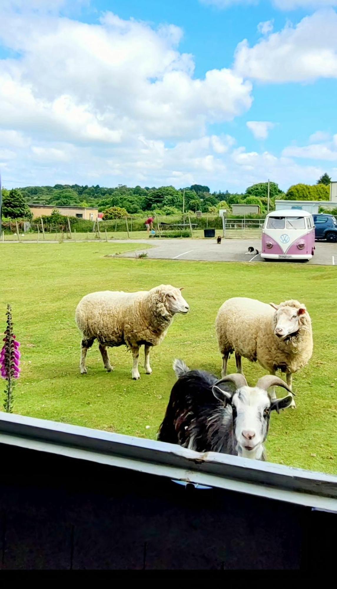Treguth Glamping Unique Experience - Themed Huts Hotell Saint Day Exteriör bild