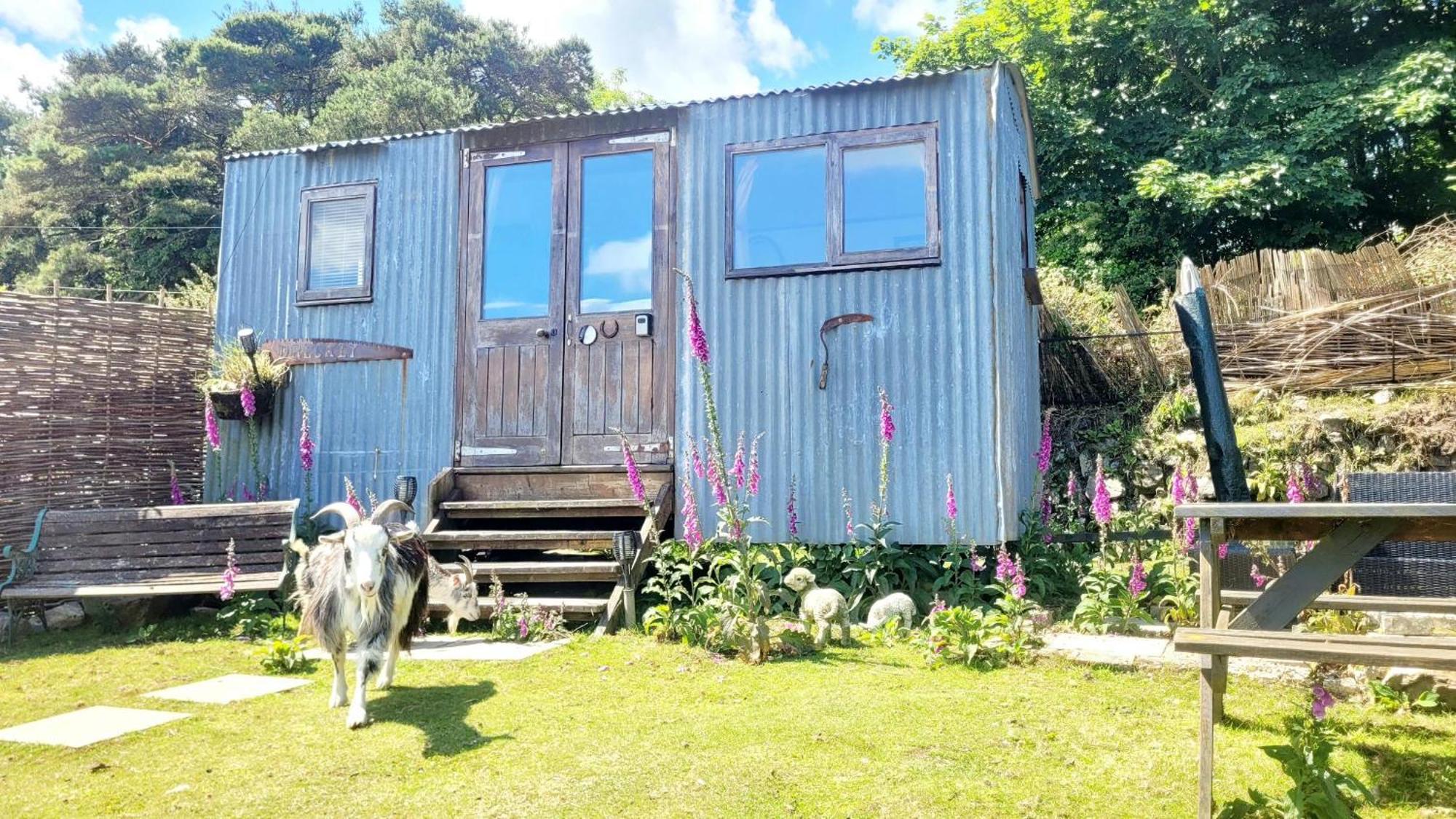 Treguth Glamping Unique Experience - Themed Huts Hotell Saint Day Exteriör bild
