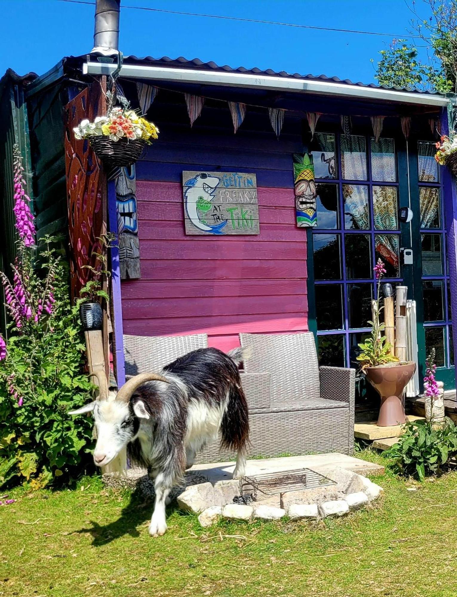 Treguth Glamping Unique Experience - Themed Huts Hotell Saint Day Exteriör bild
