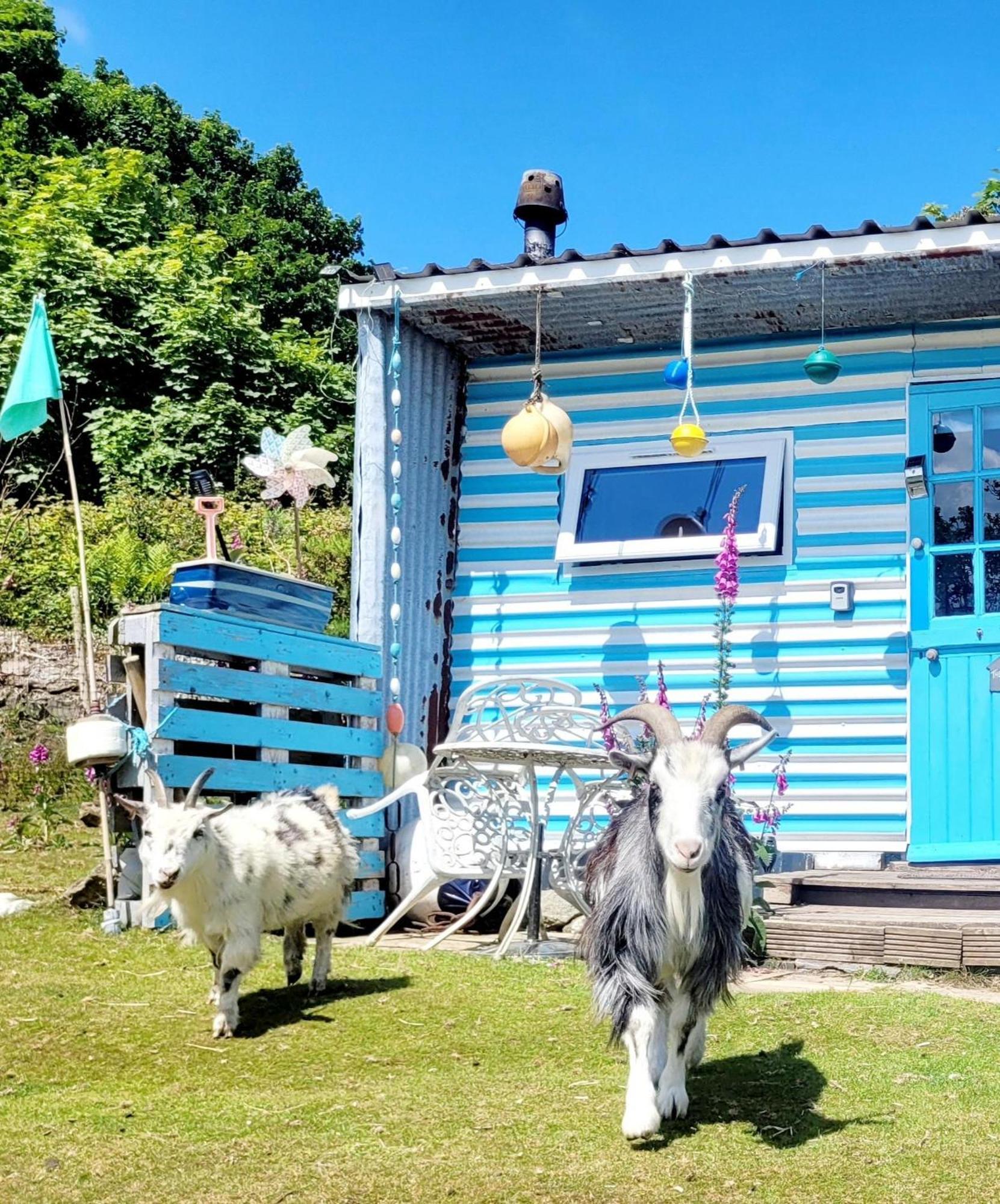 Treguth Glamping Unique Experience - Themed Huts Hotell Saint Day Exteriör bild