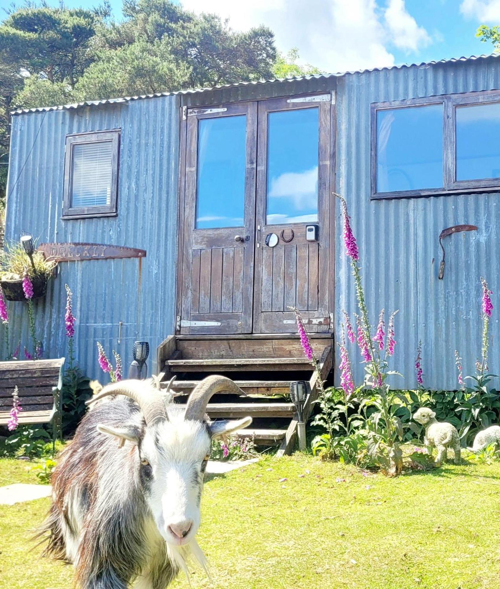Treguth Glamping Unique Experience - Themed Huts Hotell Saint Day Exteriör bild