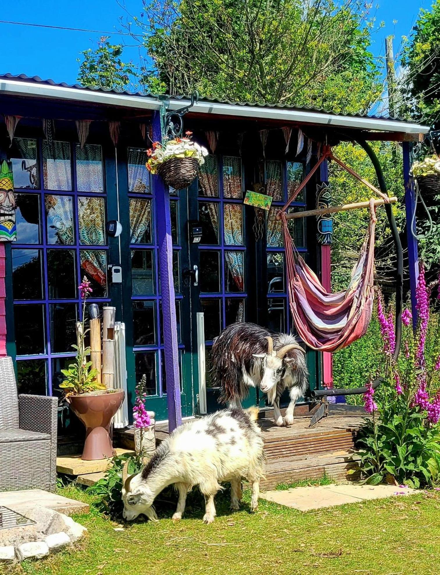 Treguth Glamping Unique Experience - Themed Huts Hotell Saint Day Exteriör bild