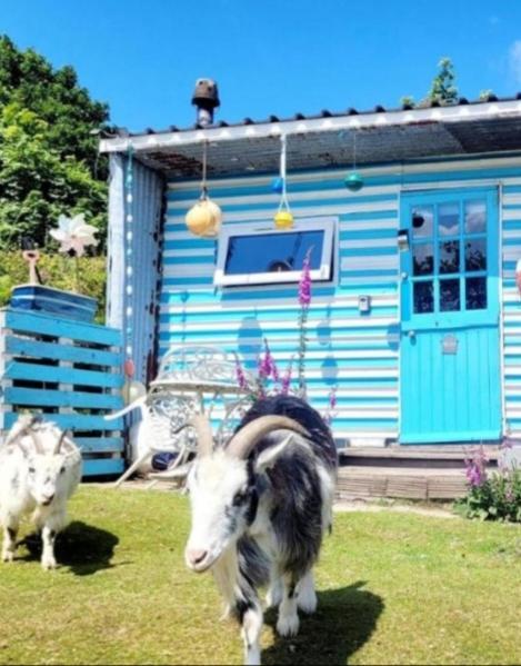 Treguth Glamping Unique Experience - Themed Huts Hotell Saint Day Exteriör bild